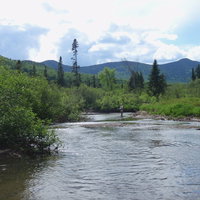 Caney Fork Section 3