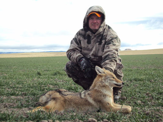 Coyote Hunting