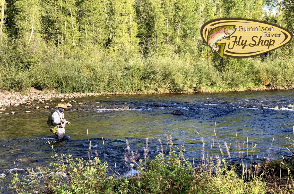 Almont resort private Walk and Wade