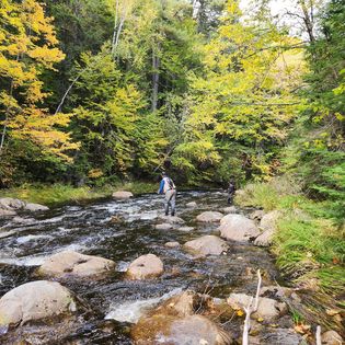 Maine Remote Pond/Stream Trip