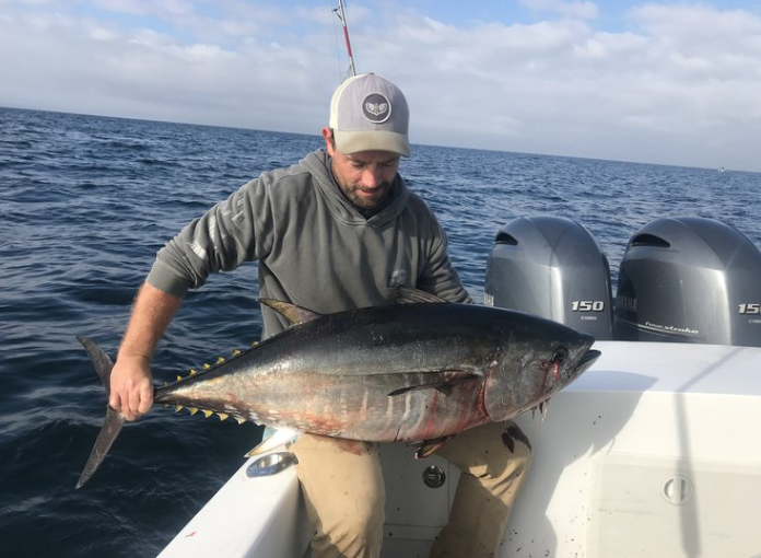 Offshore Tuna Fishing Custom 23' Formula