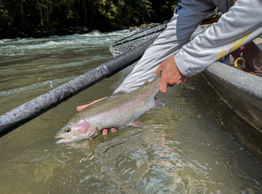 Fly Fishing 101 Lessons