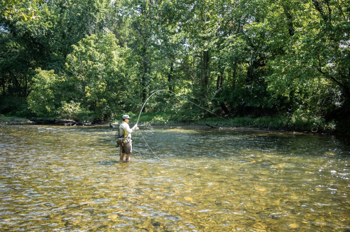 Tailwater Wade Trip