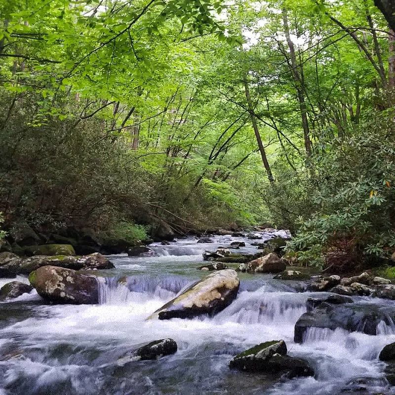 Tellico River Guided Trip (March 1-August 15)