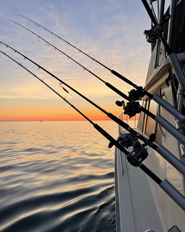 Sunset Cruise