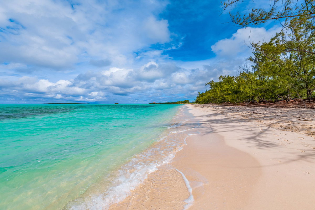 Bahamas Fishing Trip 