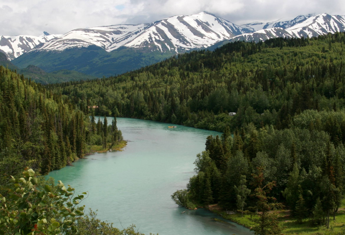 Kenai Commercial Fishing Adventure – Essential 4-Day Shared Experience