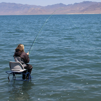 Chair Ladder Rental