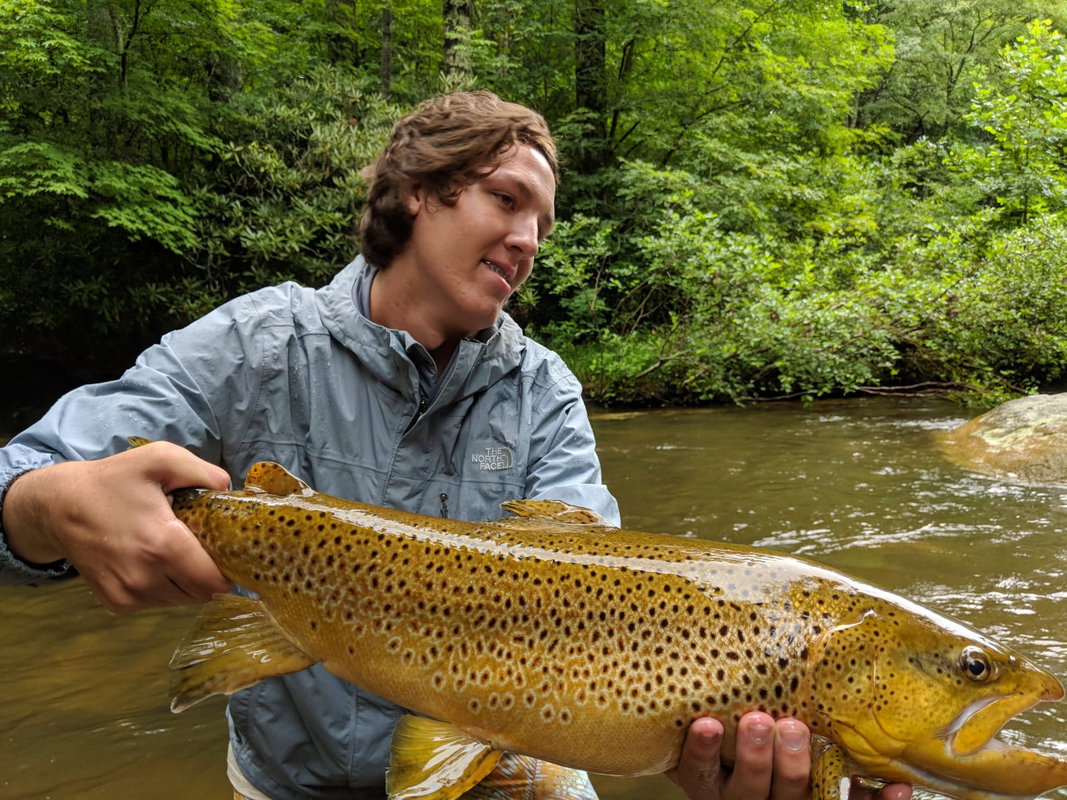 Private Water Wade: Whispering Waters Trophy Trout