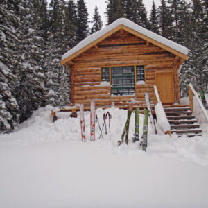 Woody Creek Cabin Private Rental - Whole Cabin