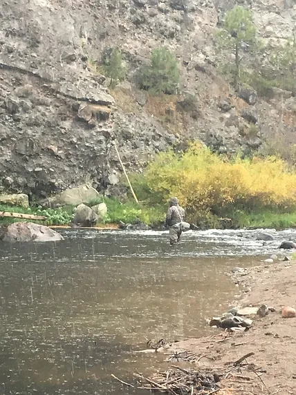 Truckee River Walk and Wade Fly Fishing Trip