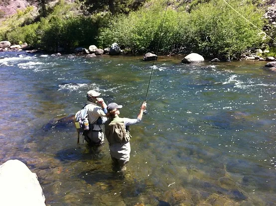 Little Truckee River Walk and Wade Fly Fishing