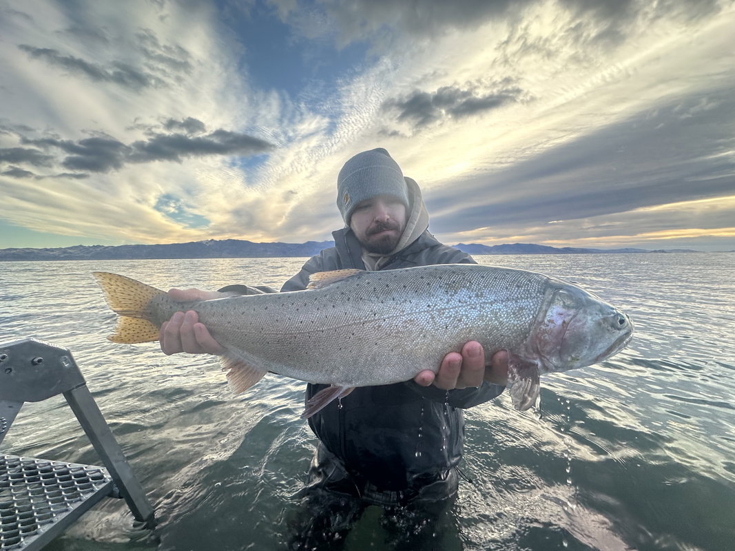 Pyramid Lake Full Day for Half Day Price