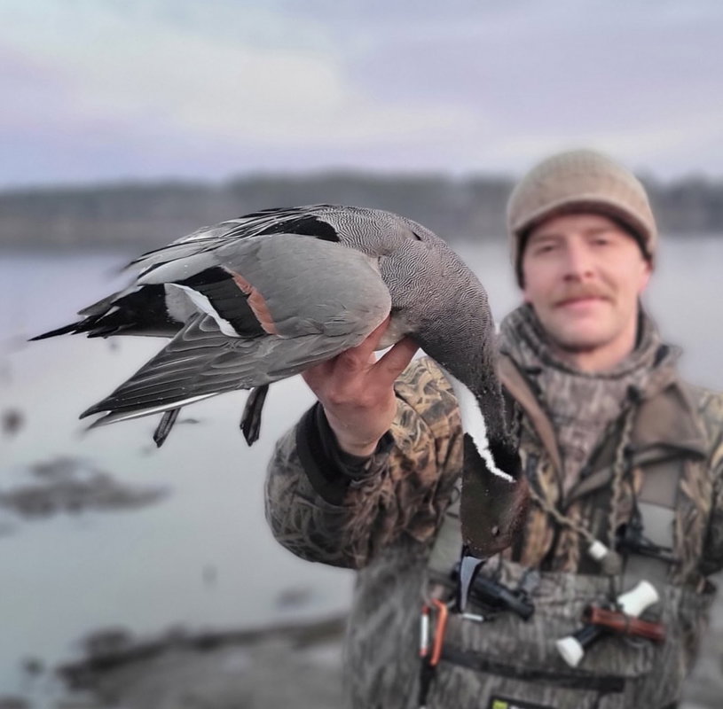 Pintail Hunts