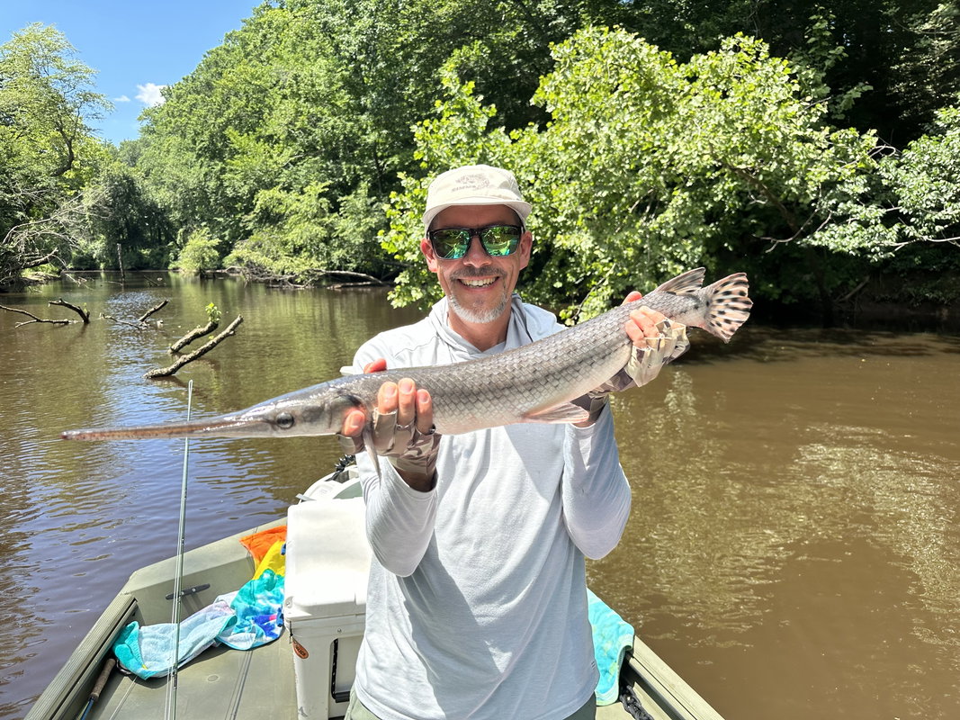 Fly Fishing for Longnose Gar