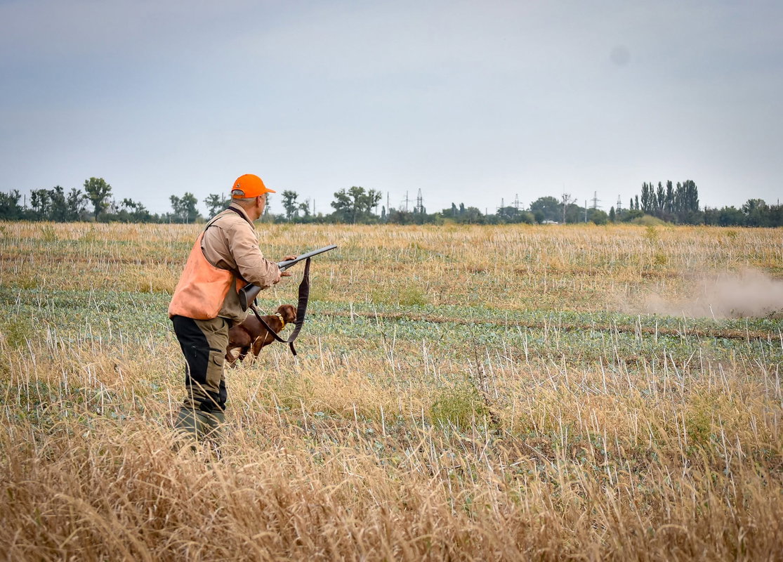  Half Day Hunt