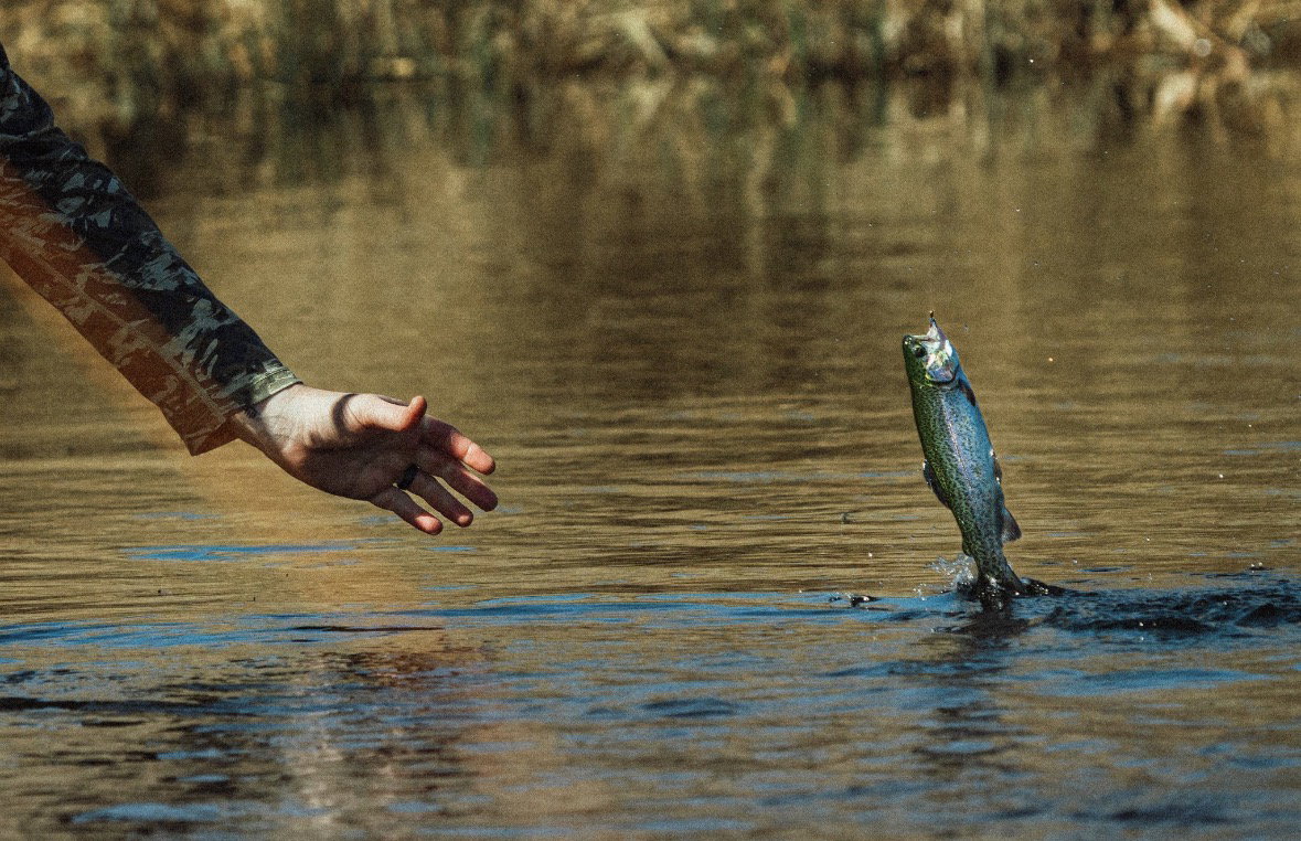 Brazos River Trout