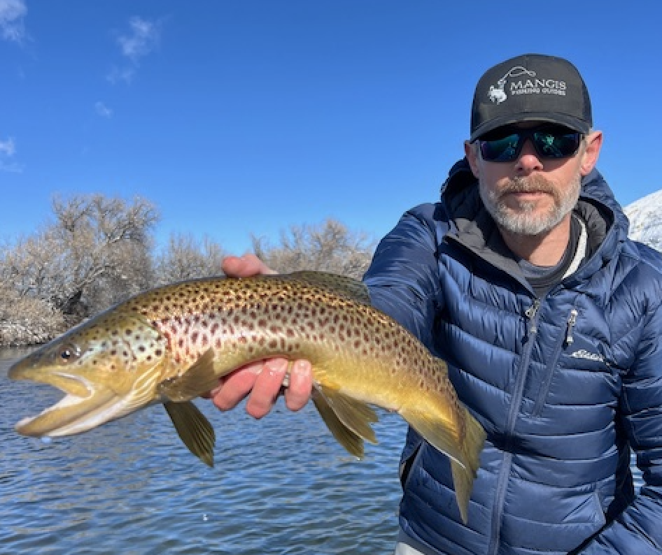 Spring on the Bighorn