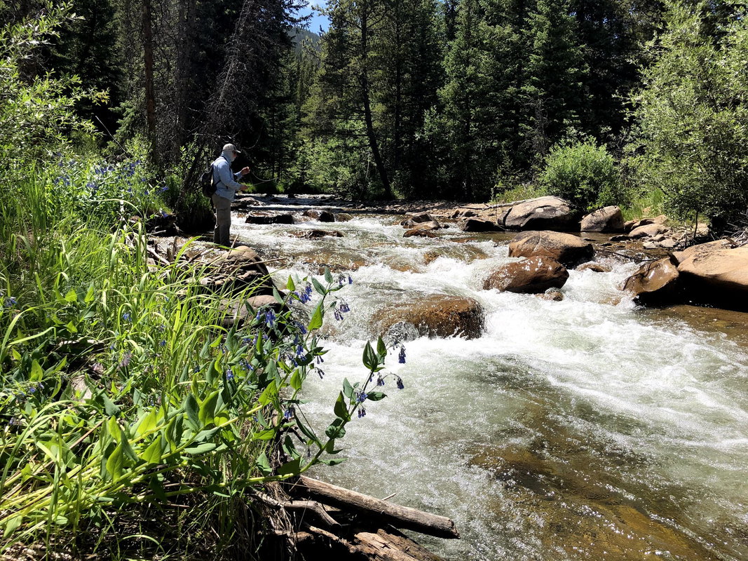 RMNP Backcountry Trip: West Side