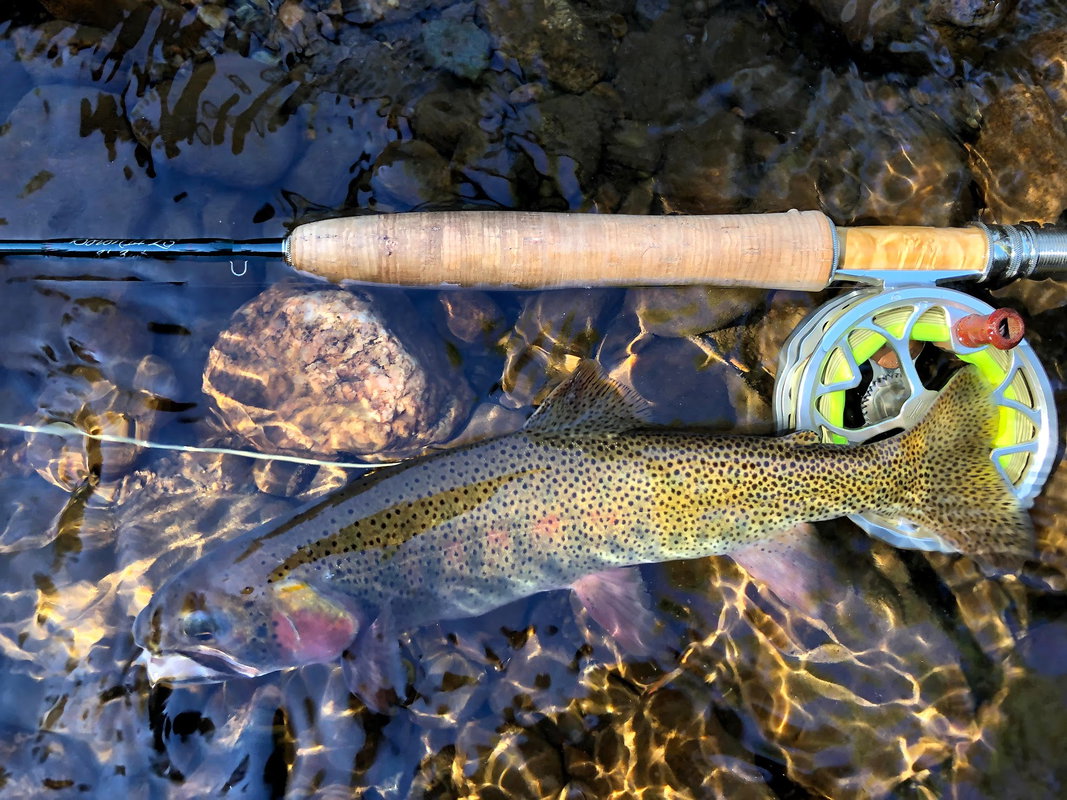 Front Range Creeks: Walk & Wade Trip