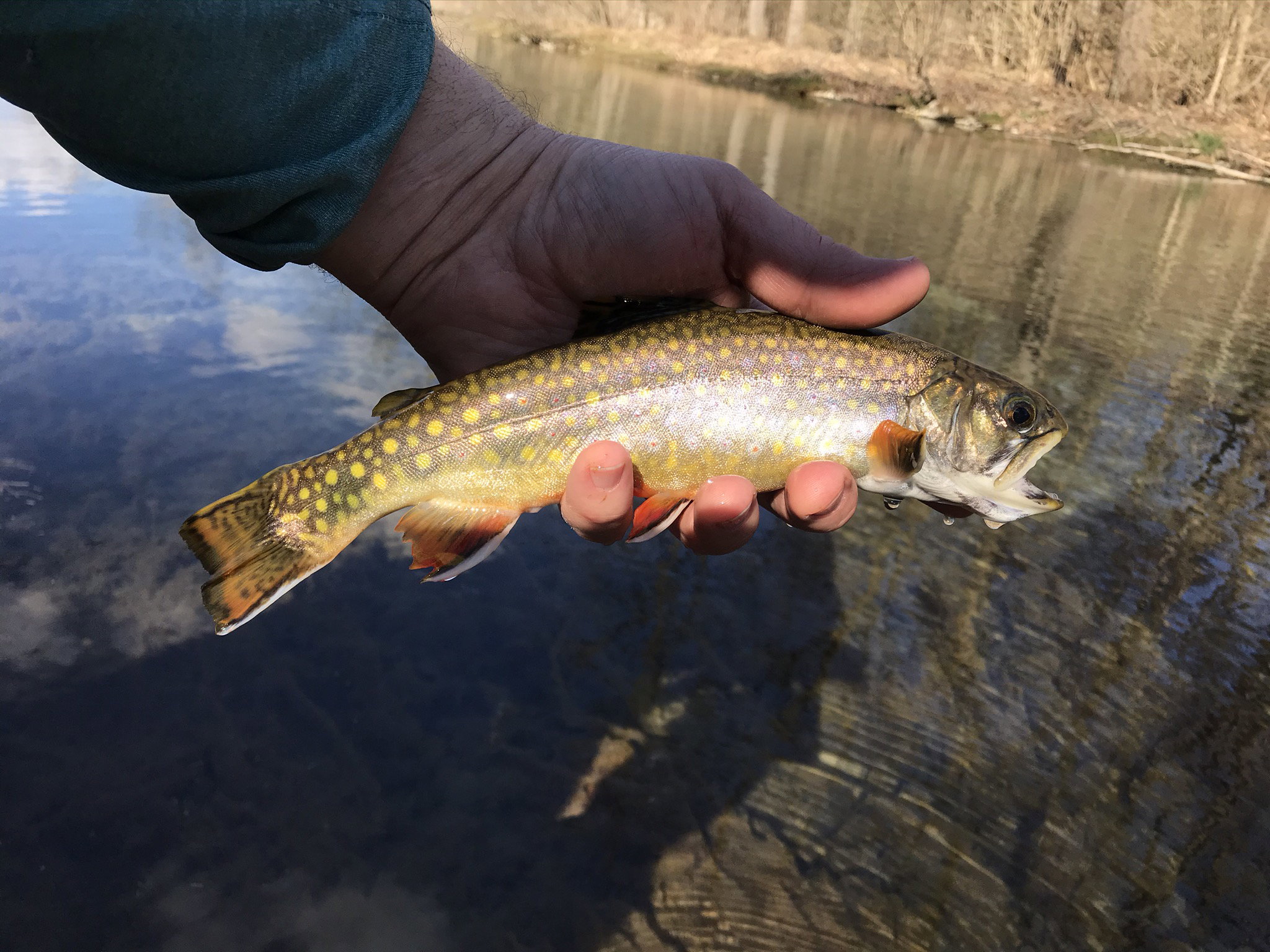 South Central PA