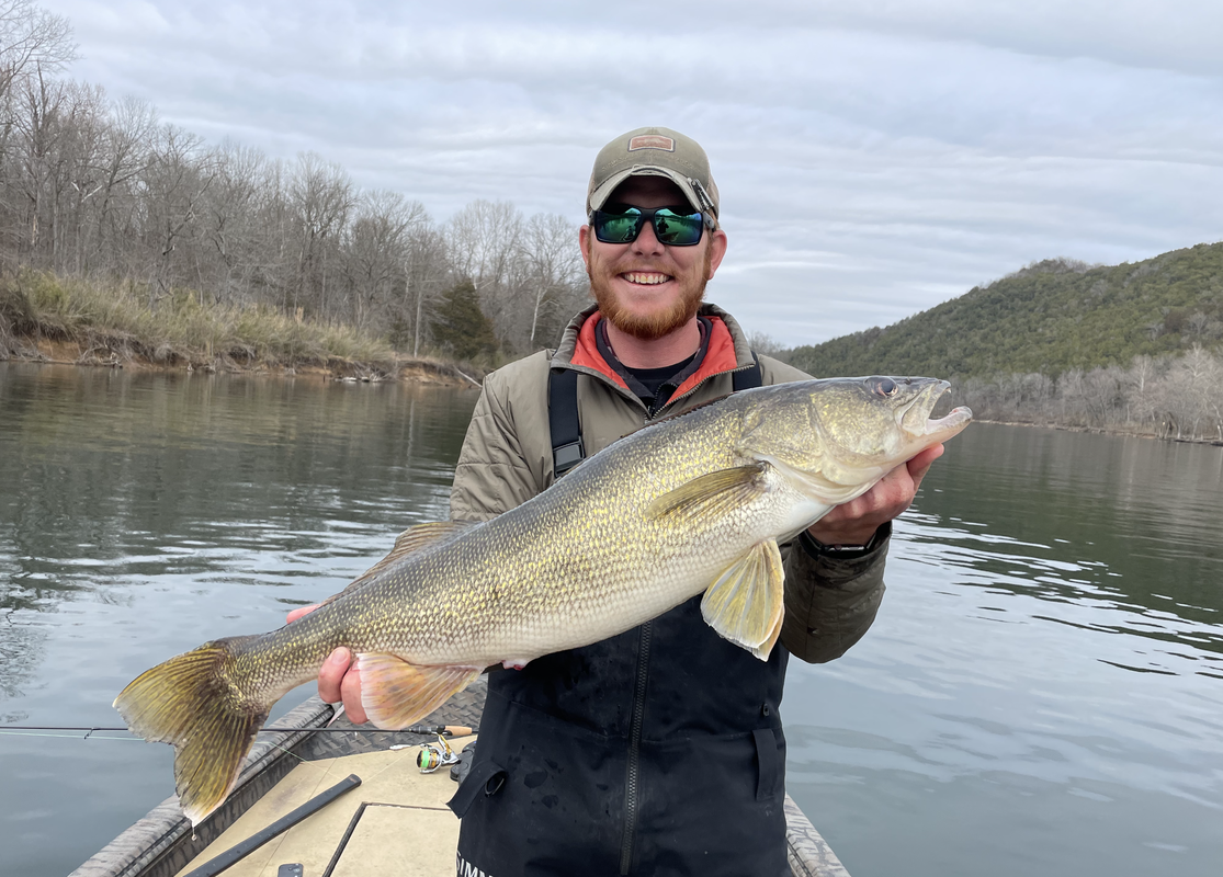 Bull Shoals Guided Walleye Fishing Trip