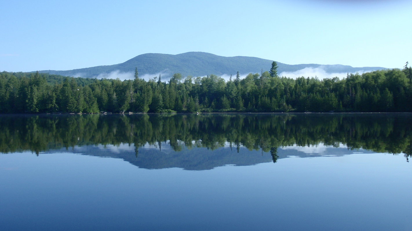 Small Ponds Fly Fishing Trip Half Day