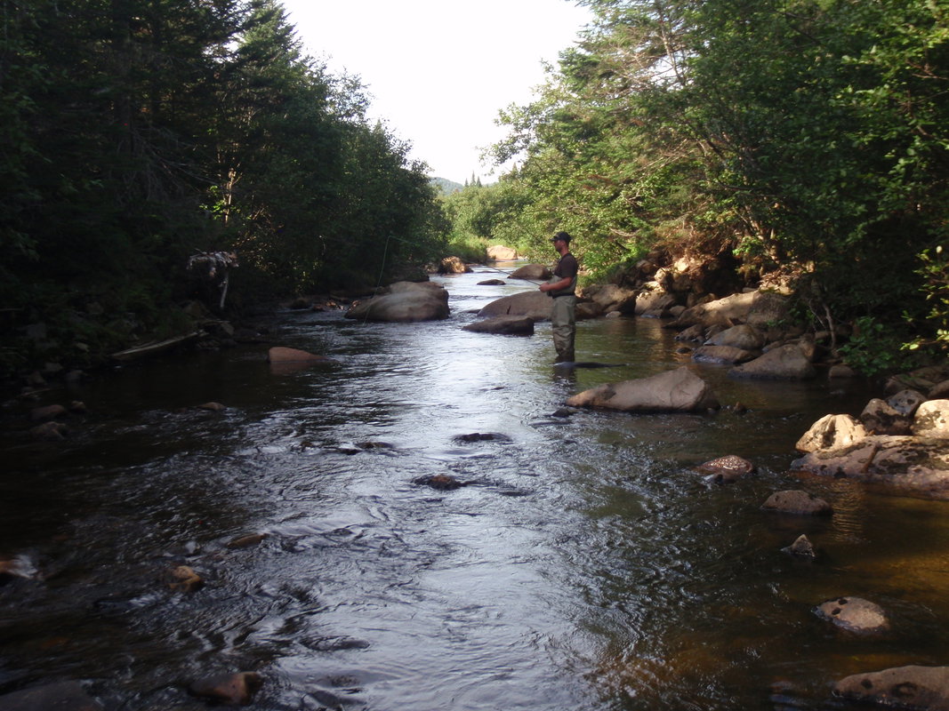 Small Streams Fly Fishing Trip Full Day