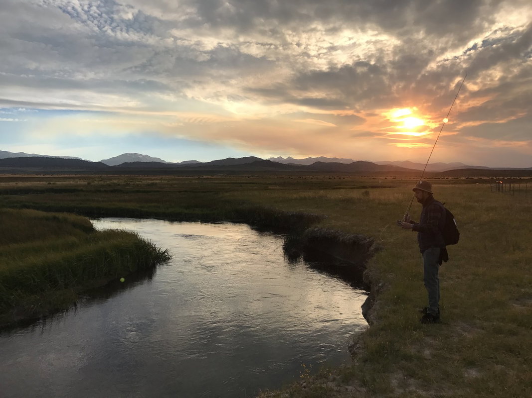 Introduction to Fly Fishing Guided Trip