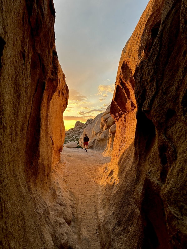 Joshua Tree Adventure Days