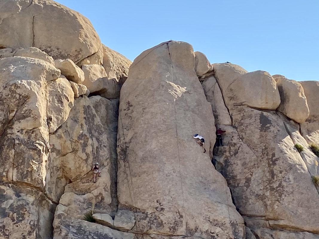 Joshua Tree Private Guiding