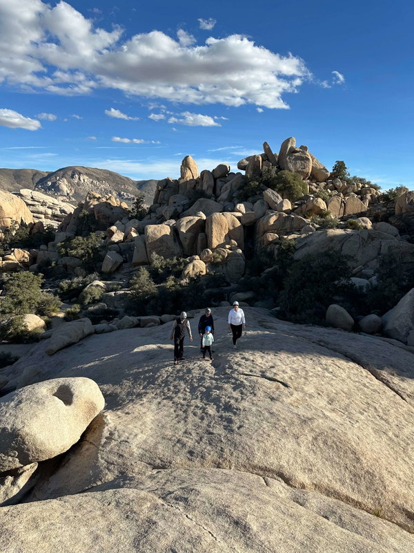 Joshua Tree Hiking