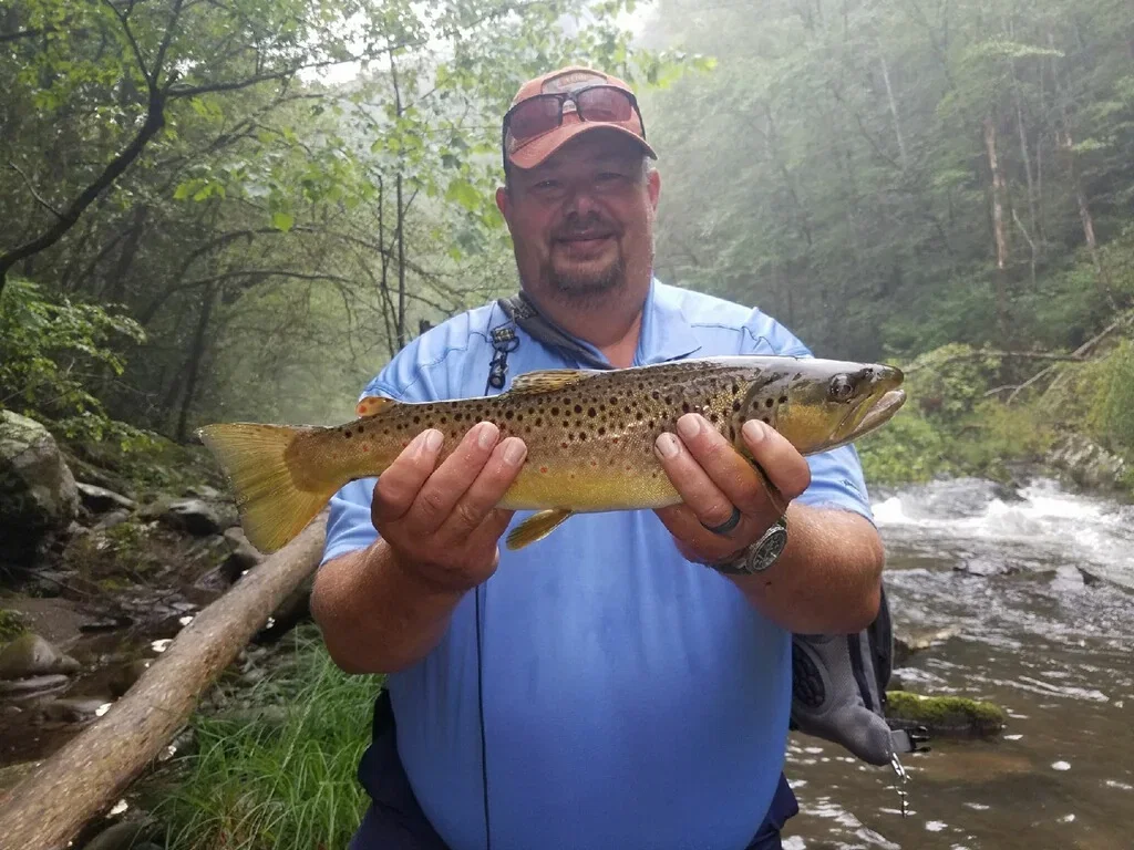 Full Day Wade Trip GSMNP