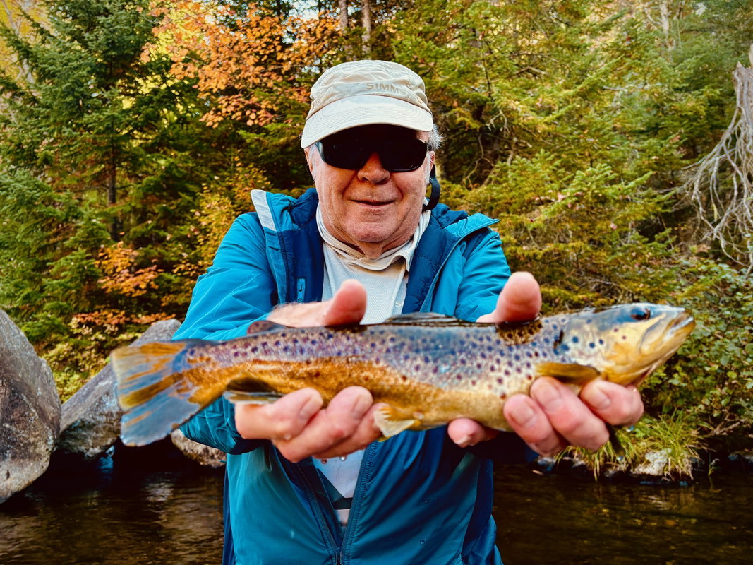 Fly Fishing Wade Trip