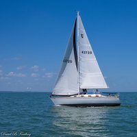 Arctic Dream (Capacity 4)