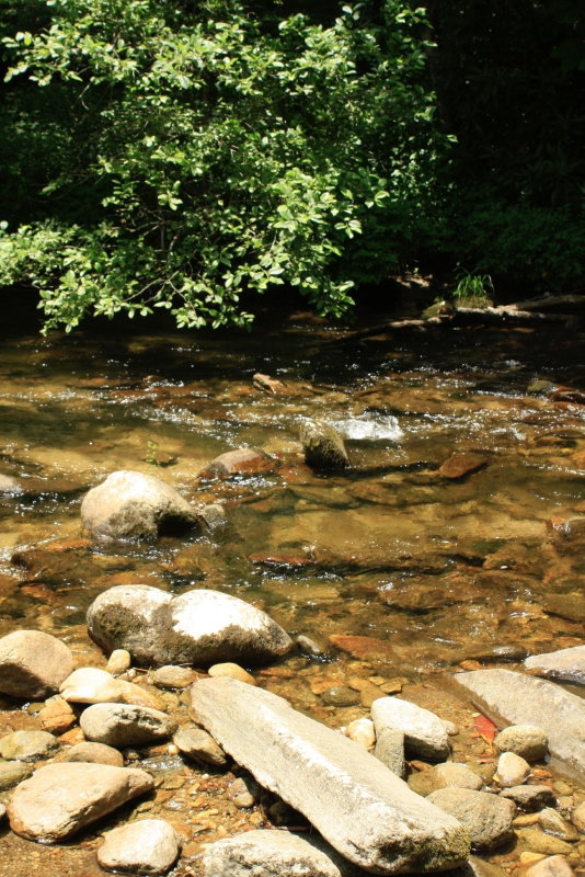 Unknown-1.jpeg.jpeg