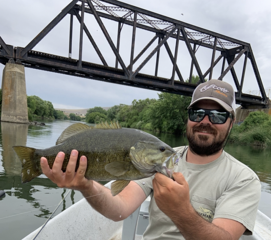 Lower Yakima Smallmouth Bass