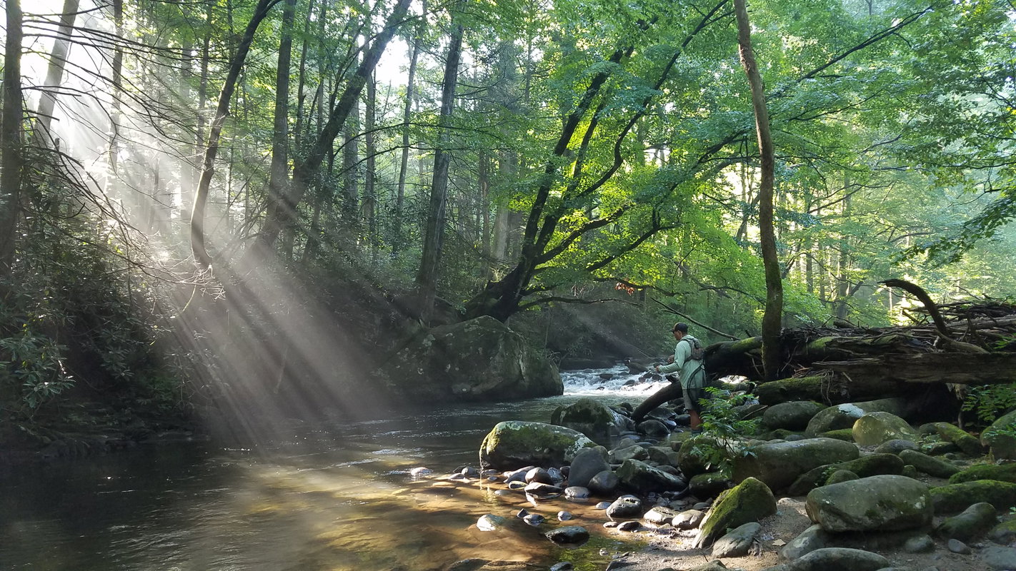 Tellico River Guided Trip (March 1-August 15)