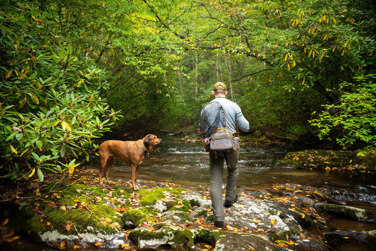 Wild Trout Fly Fishing Trip